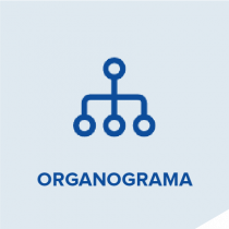 organograma-05.png