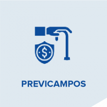 previcampos-05.png